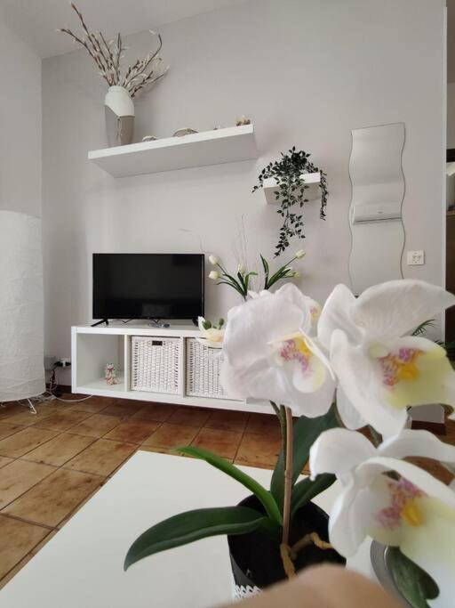 Appartamento Da Nella Giardini Naxos Ngoại thất bức ảnh